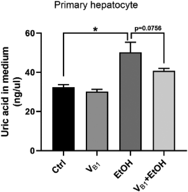 Figure 7: