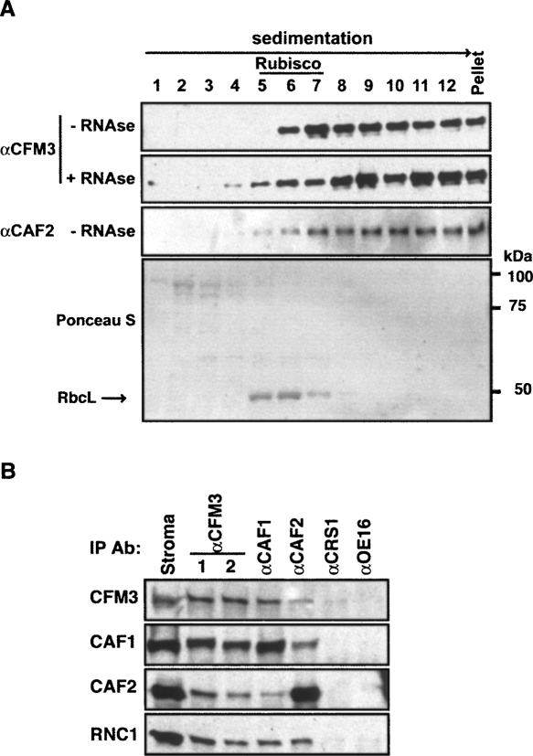 FIGURE 9.