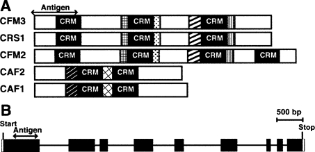 FIGURE 1.