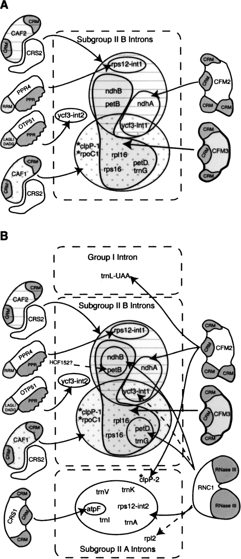 FIGURE 11.