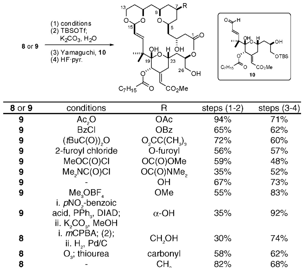 Scheme 2