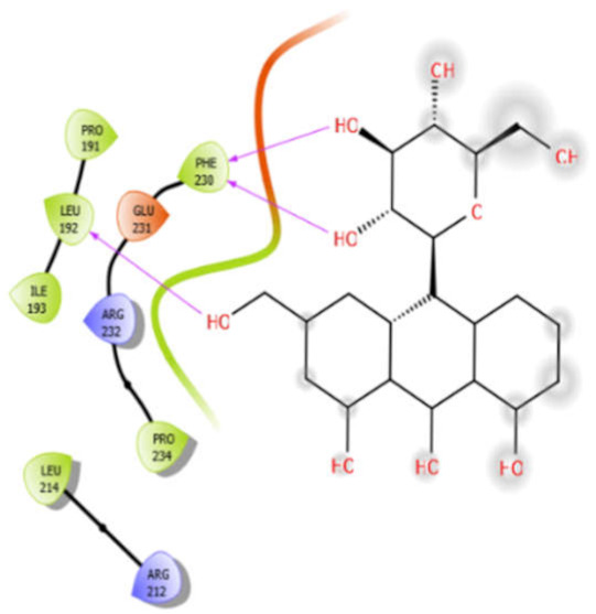 graphic file with name antioxidants-10-01990-i023.jpg