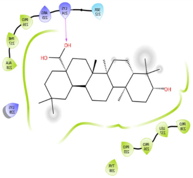 graphic file with name antioxidants-10-01990-i020.jpg