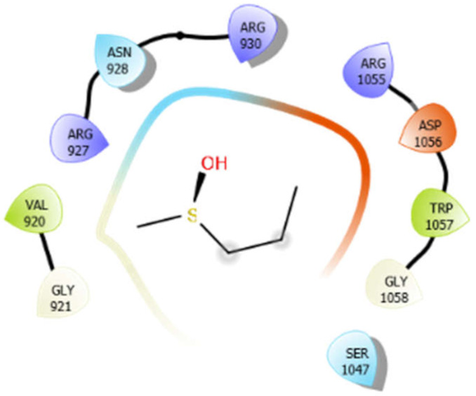 graphic file with name antioxidants-10-01990-i001.jpg