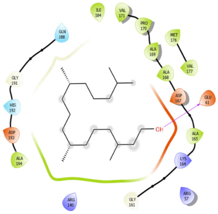 graphic file with name antioxidants-10-01990-i021.jpg