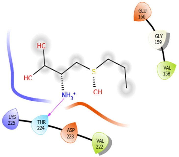 graphic file with name antioxidants-10-01990-i022.jpg