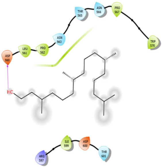 graphic file with name antioxidants-10-01990-i028.jpg