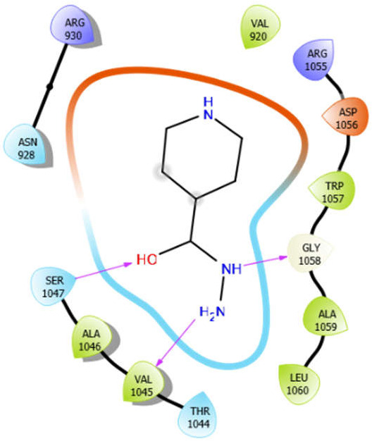 graphic file with name antioxidants-10-01990-i004.jpg