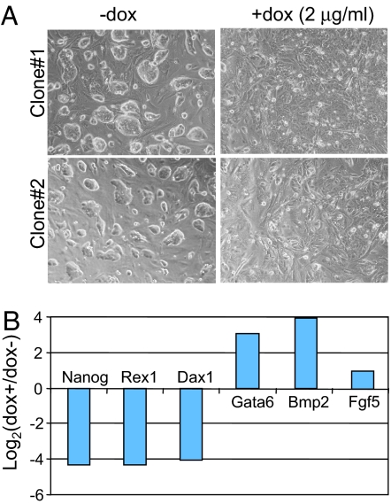 Fig. 3.