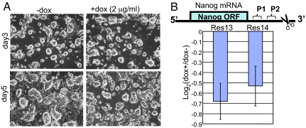 Fig. 4.