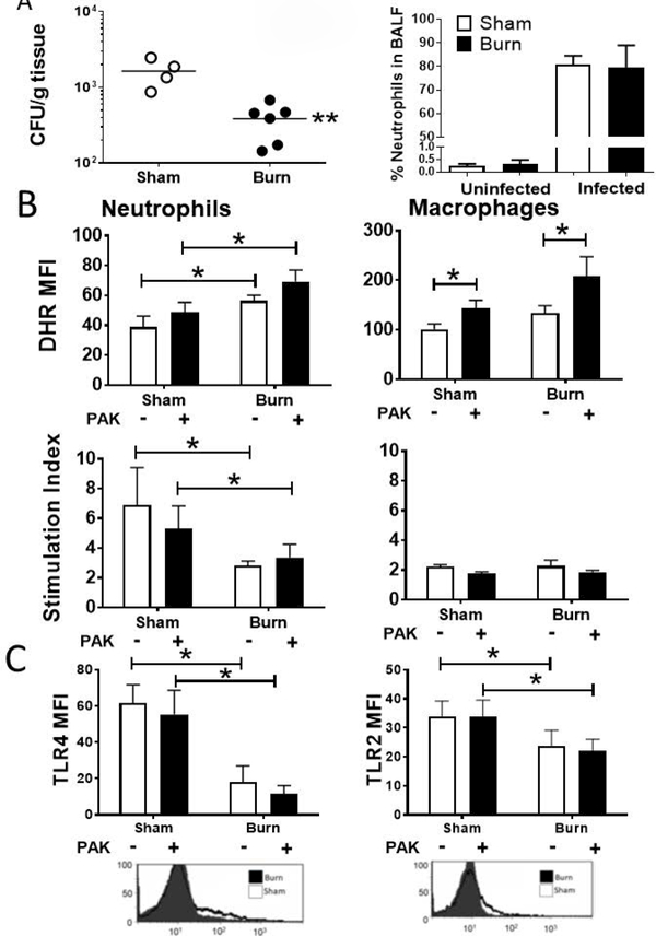 Figure 3: