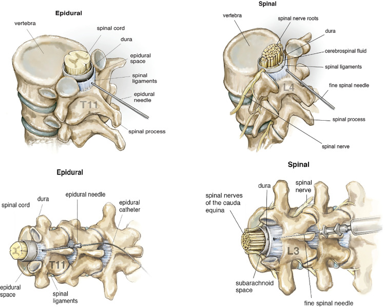 Figure 1.