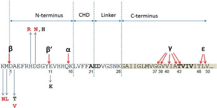 FIGURE 1.