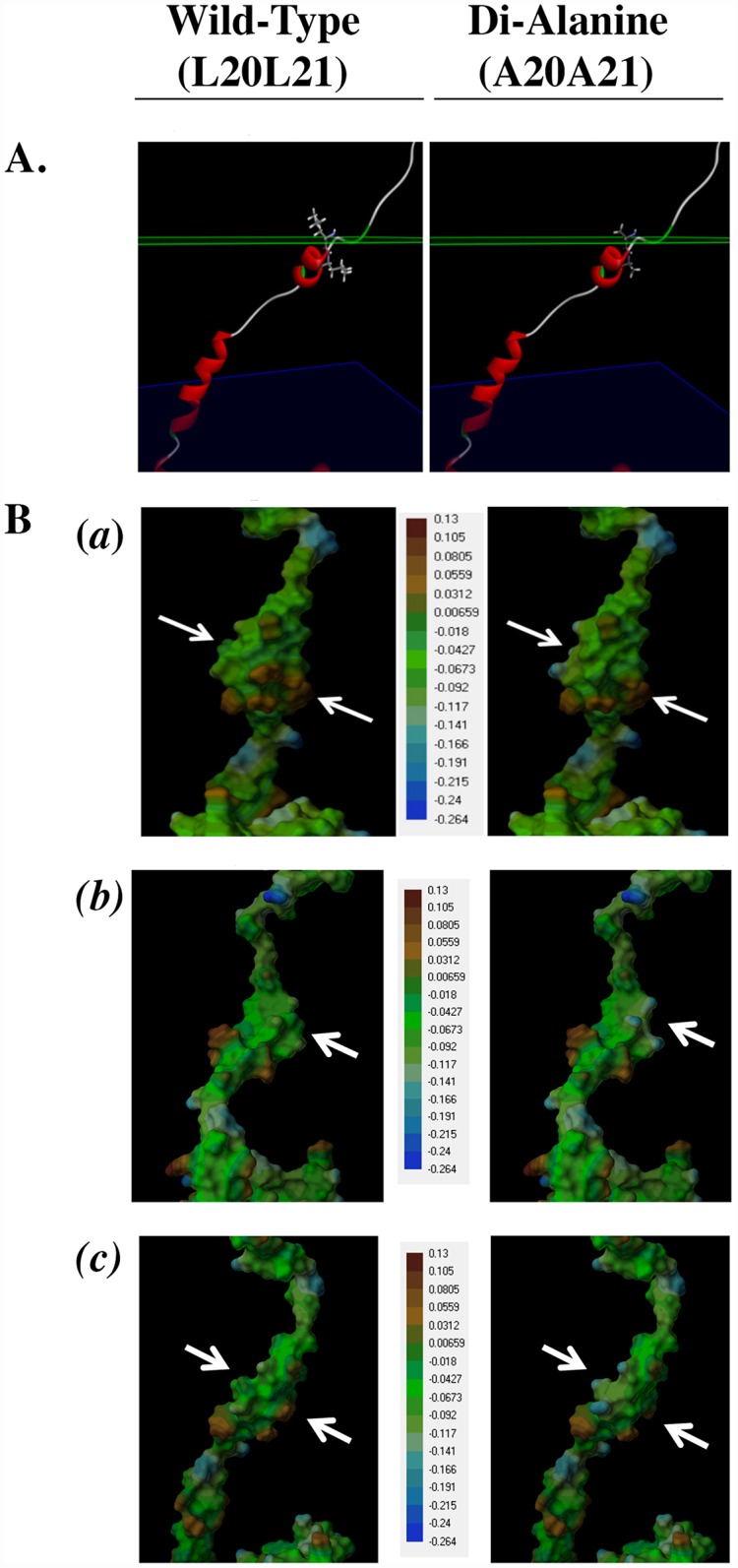 Fig 5