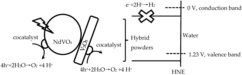 Figure 8