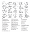 Fig. 3