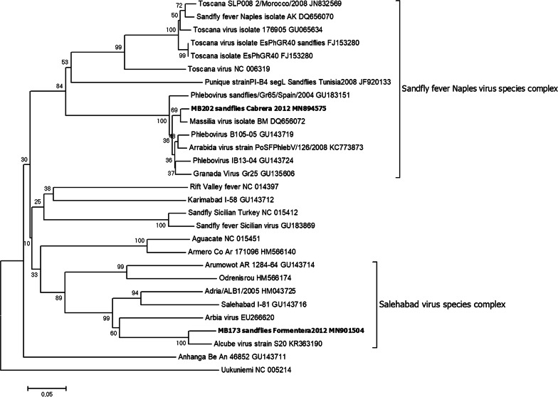 Fig. 1