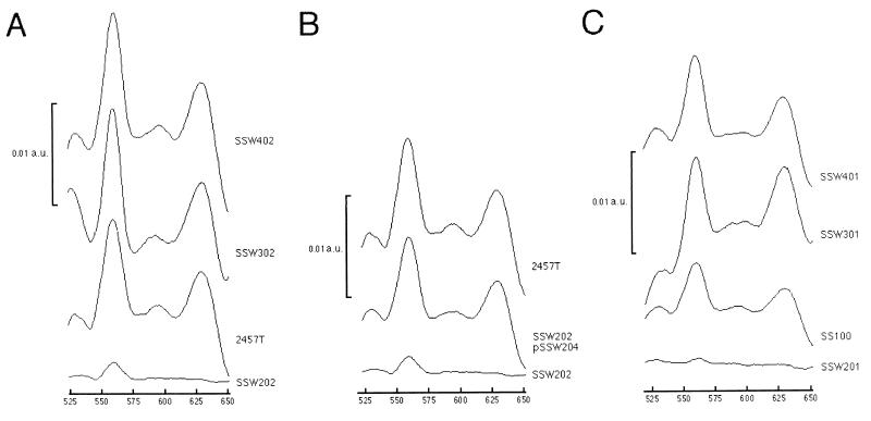 FIG. 6