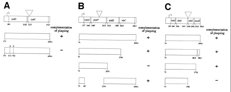 FIG. 3