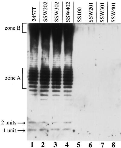 FIG. 5