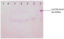 Fig 8