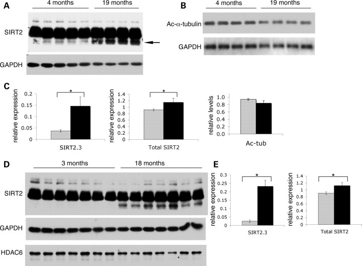 Figure 4.