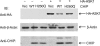 Fig 1.