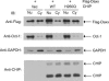 Fig 6.
