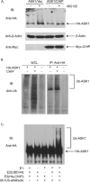 Fig 2.