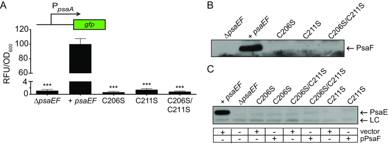 FIG 3