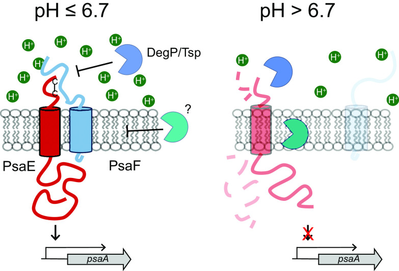 FIG 6