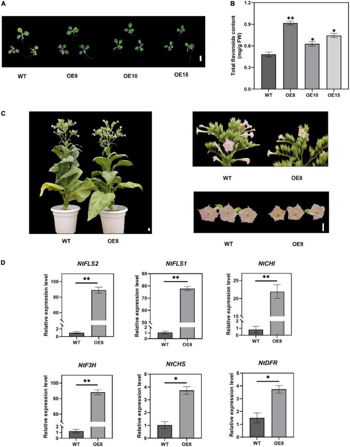 FIGURE 4