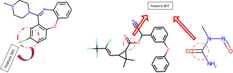 Fig. 8