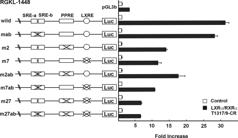 FIGURE 4.