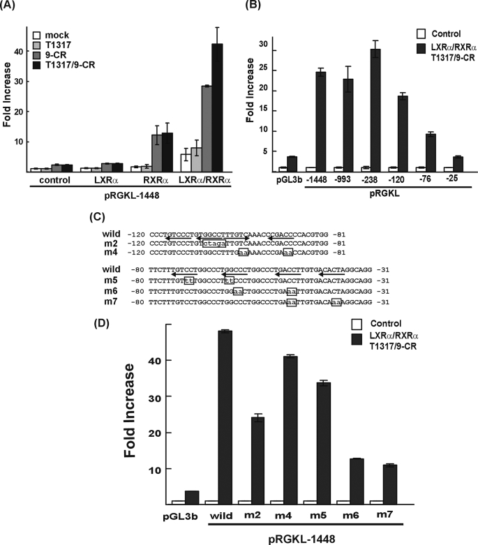 FIGURE 1.