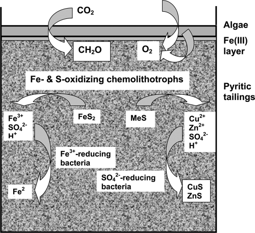 Fig. 8.