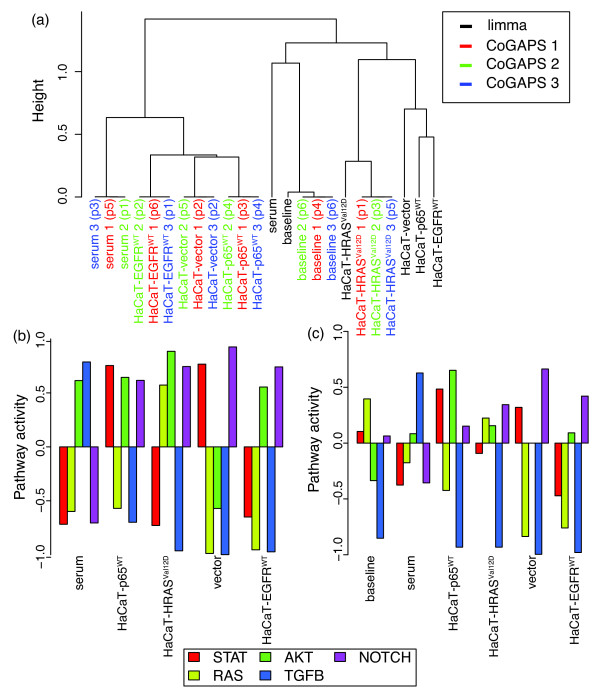 Figure 4 