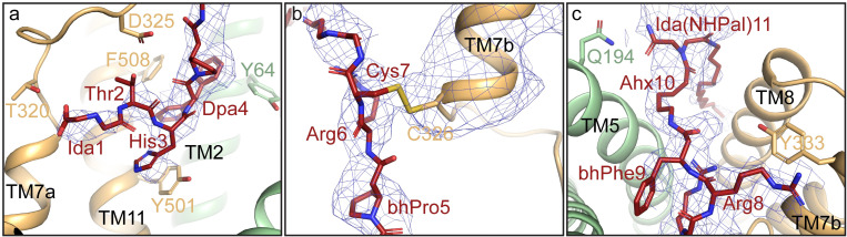 Fig 5