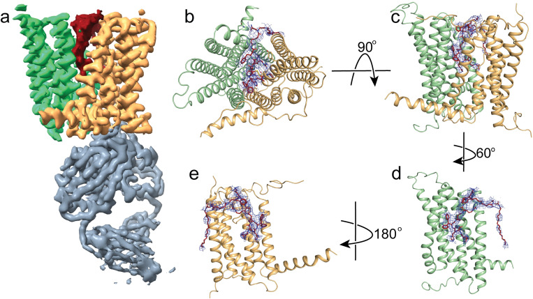 Fig 3