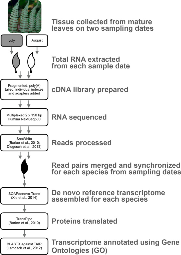 FIGURE 1