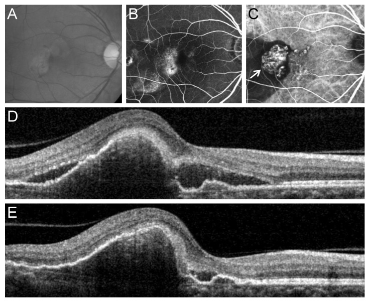 Fig. 3