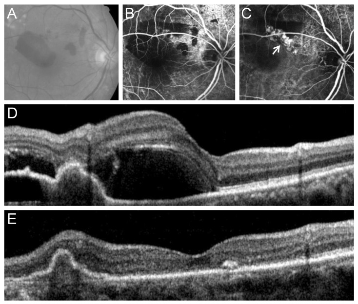 Fig. 4