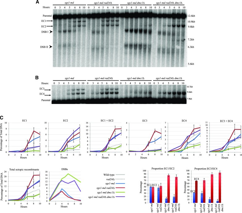 Figure 2.