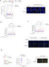 Fig. 1 -