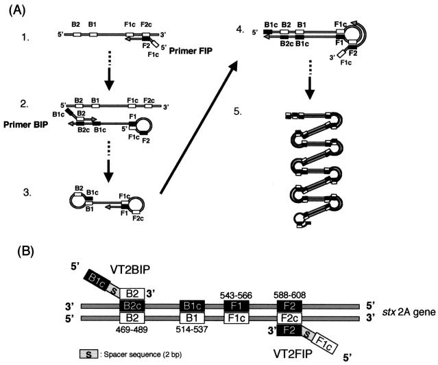 FIG. 1.