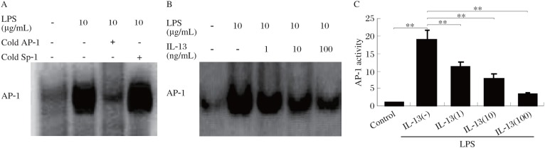 Fig.4