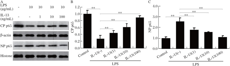 Fig.3