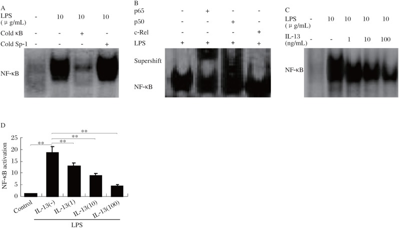 Fig.2