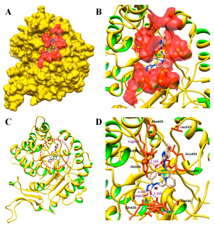 Figure 6