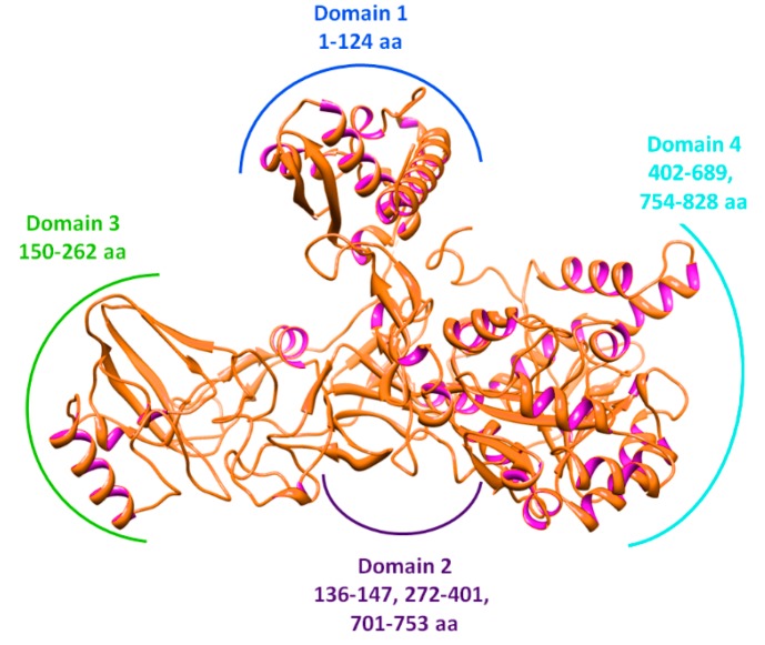 Figure 5